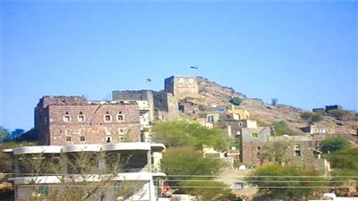 مديرية الحصين أرض اللوز
