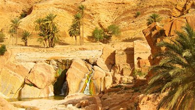 مديرية المسيلة أرض الوديان الخصبة