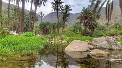 مديرية الوازعية أرض الجمال الطبيعي والتنوع الثقافي