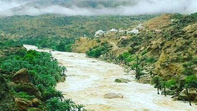 مديرية أرياف المكلا أرض النخيل والكرم