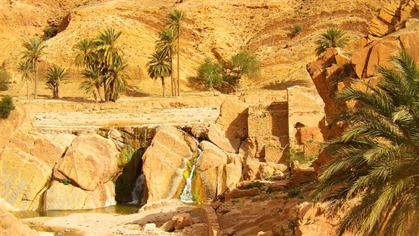 موقع أيام نيوز