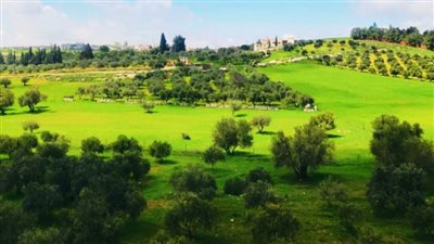 أبو نقلة : قرية هادئة على مشارف عمان