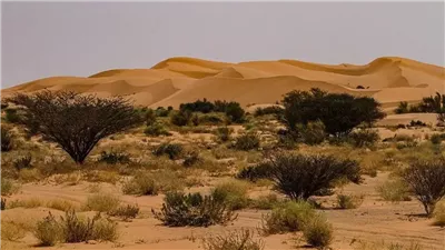 مركز الفياض بوابة الجوف إلى الشمال