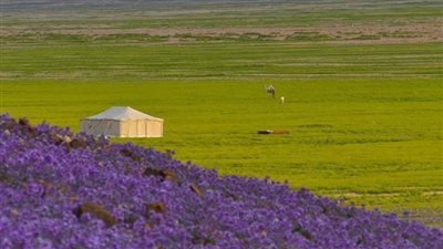 مركز طلعة عمار بوابة الجوف إلى الجنوب