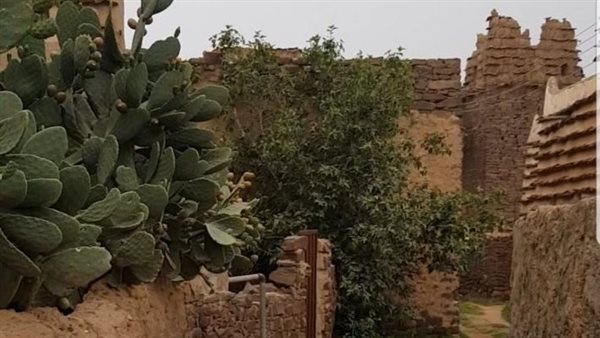 موقع أيام نيوز