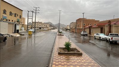 ودية قرية سعودية تاريخية