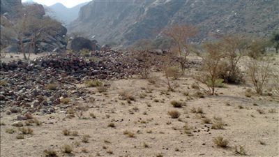 حزرة الجنوب قرية تراثية في الحناكية