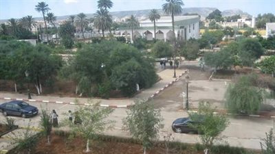 كل ما تريد معرفته عن جامعة السانية