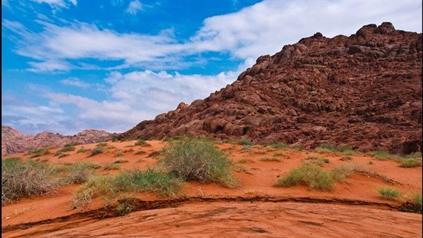 موقع أيام نيوز