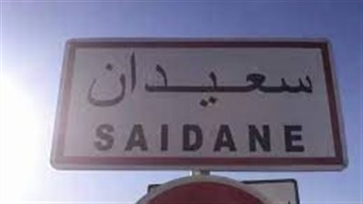 سعيدان قرية تراثية في حائل