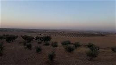 قرية حية قرية نموذجية في حائل