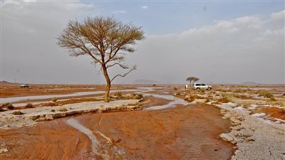 قرية البركة قرية سعودية عريقة