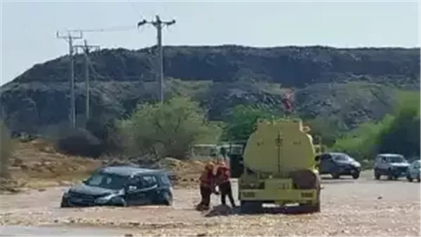 موقع أيام نيوز