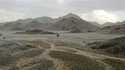 قرية المربع قرية تاريخية في محافظة العيص