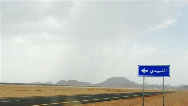 موقع أيام نيوز