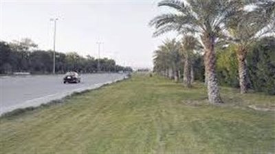 حي المطيرفي حي زراعي حديث في محافظة الأحساء