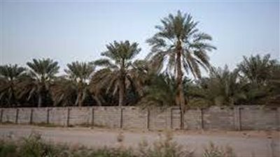 حي العتبان حي قديم وحديث في الأحساء