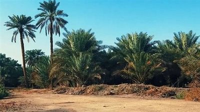 حي محمد وعبد اللطيف العيسى حي حديث في الأحساء