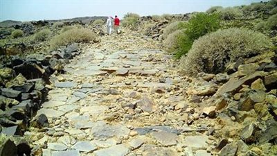 طريق الفيل طريق تاريخي في منطقة الباحة