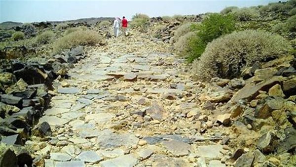 موقع أيام نيوز