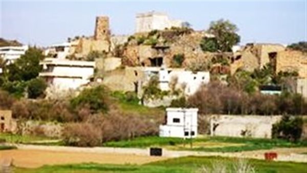 موقع أيام نيوز