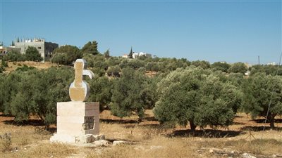 كل ما تريد معرفتة عن قرية ام العساكر