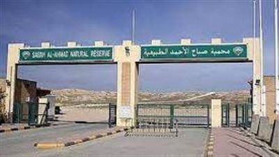 محمية صباح الأحمد الطبيعية أكبر محمية في الكويت