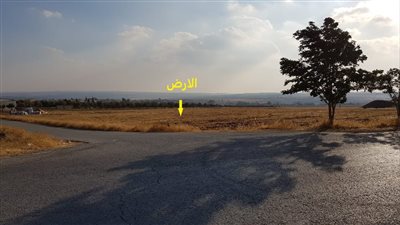 كل ما تريد معرفتة عن قرية ماسوح