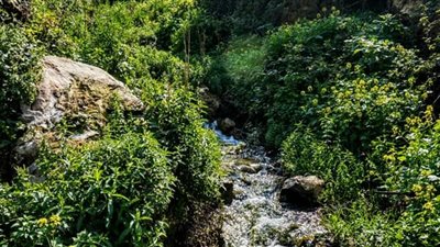 كل ما تريد معرفتة عن قضاء حسبان