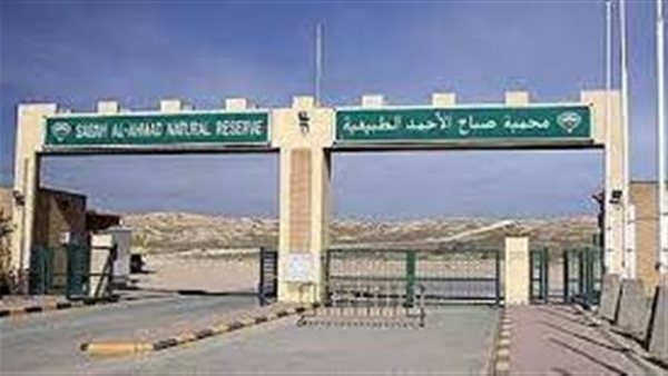 موقع أيام نيوز
