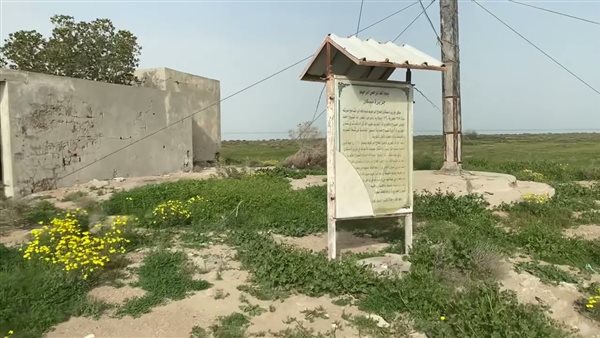 موقع أيام نيوز