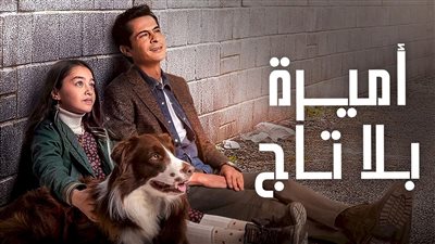 كل ما تريد معرفتة عن مسلسل اميرة بلا تاج