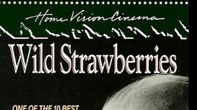 قصة فيلم Wild Strawberries