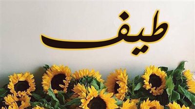 معنى اسم طيف وصفات حاملة الاسم 
