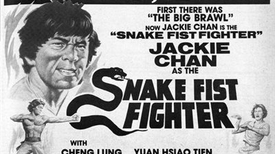 قصة فيلم Snake Fist Fighter