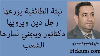 نبتة الطائفية يزرعها رجل دين ويرويها دكتاتور ويجني ثمارها الشعب