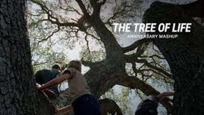قصة فيلم The Tree of Life