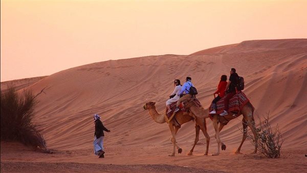 موقع أيام نيوز