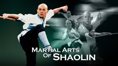 قصة فيلم Martial Arts of Shaolin