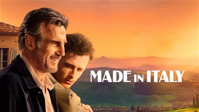 قصة فيلم Made in Italy 