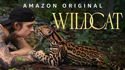 قصة فيلم Wildcat