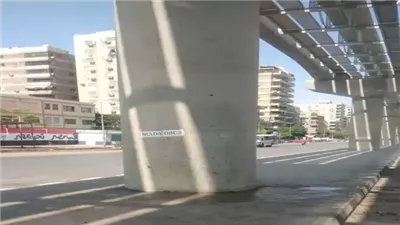 كل ما تريد معرفتة عن عمود المونوريل