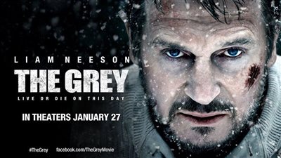 قصة فيلم The Grey