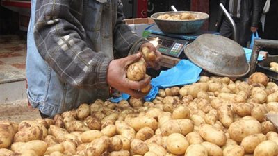 بعد انكسار حدّة أسعارها.. البطاطا تعود ما بين ٣٥٠٠ و٤٠٠٠ ليرة