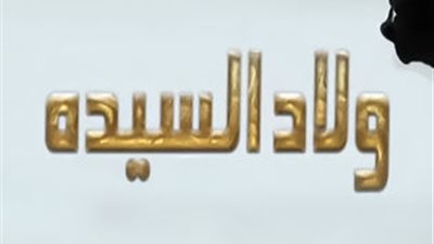 قصة مسلسل ولاد السيدة