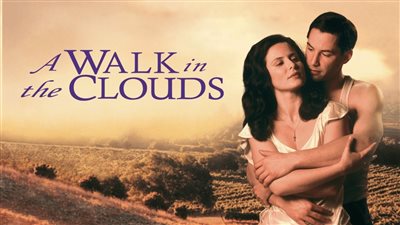 قصة فيلم A Walk in the Clouds 