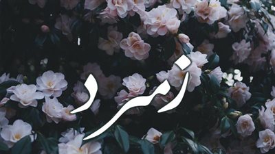 معنى اسم زمرد وصفات حاملة الاسم 