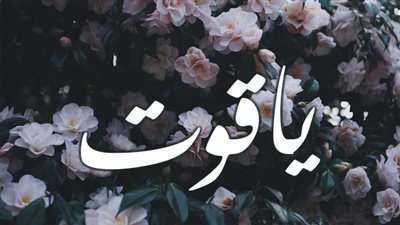 معنى اسم ياقوت وصفات حاملة الاسم 