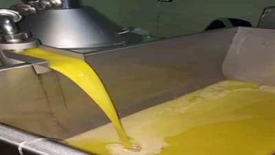 التصدير رفع أسعار الزيت….هل يستعيض المزارعون عن محاصيلهم بالتركيز على موسم الزيتون..؟ 