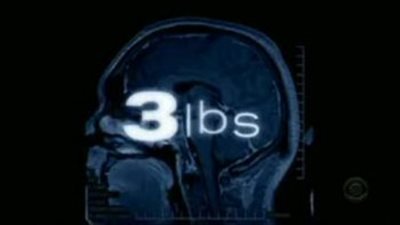 قصة مسلسل 3 lbs